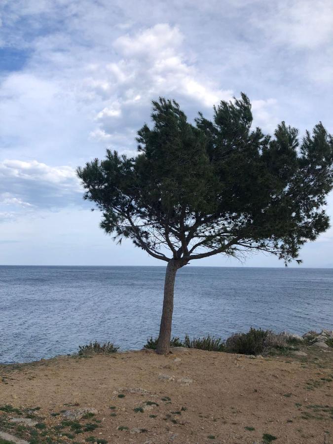 Casa Vacanze Da Maurizio سانتا فلافيا المظهر الخارجي الصورة